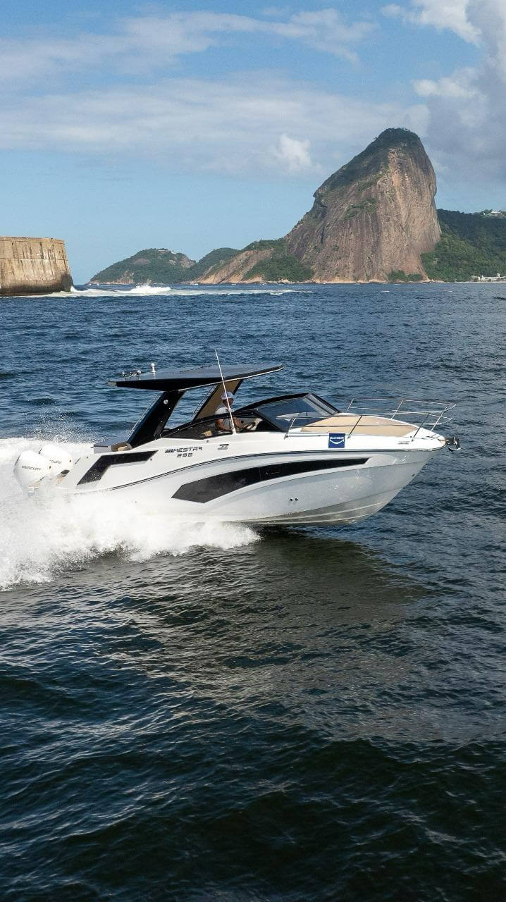 MESTRA 292