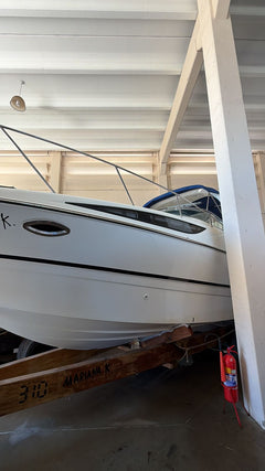 Bayliner 310 BR