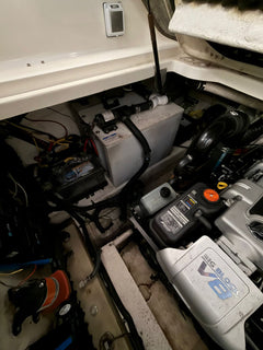 Bayliner 310 BR