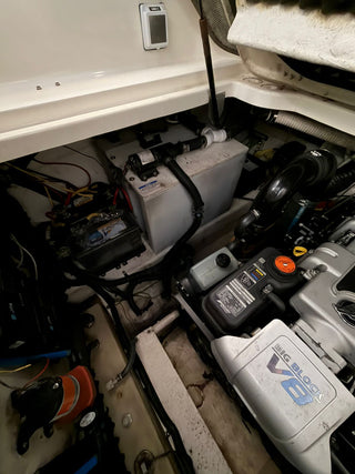 Bayliner 310 BR