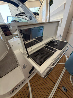 Bayliner 310 BR