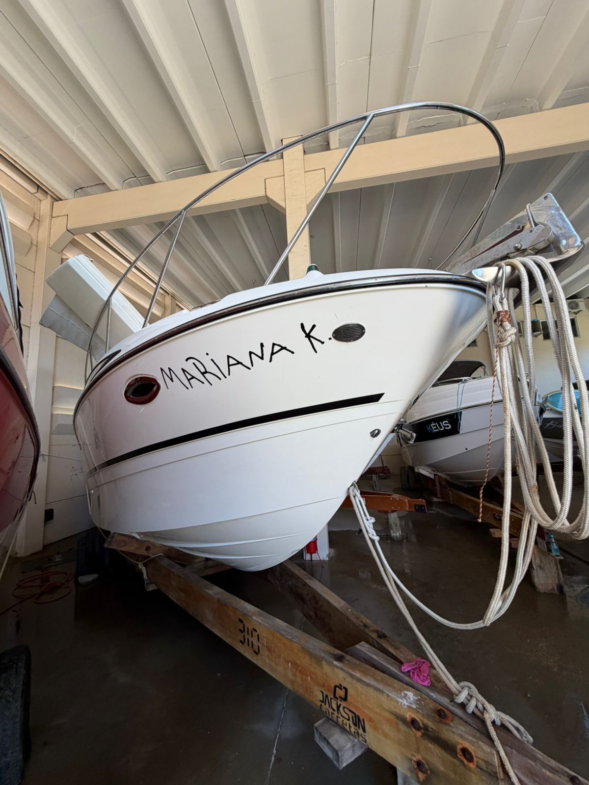 Bayliner 310 BR