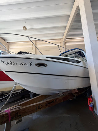 Bayliner 310 BR