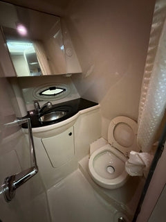 Bayliner 310 BR