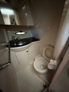 Bayliner 310 BR