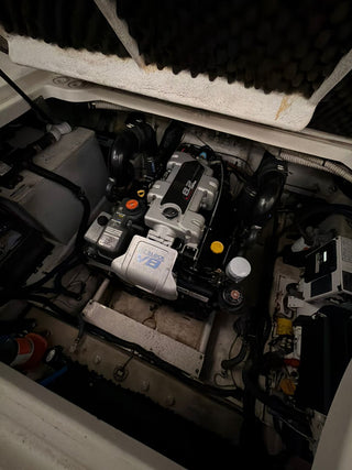 Bayliner 310 BR