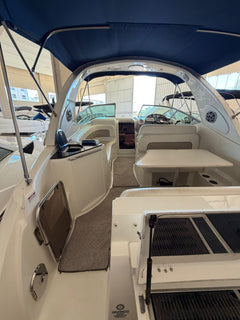Bayliner 310 BR