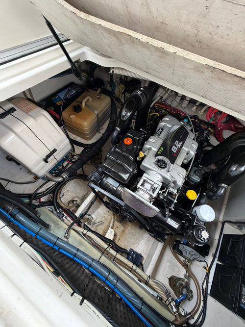 Bayliner 310 BR