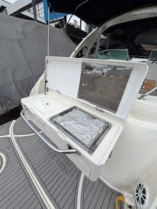 Bayliner 310 BR