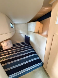 Bayliner 310 BR