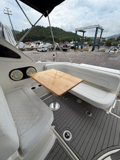 Bayliner 310 BR