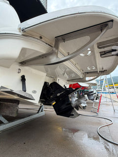 Bayliner 310 BR