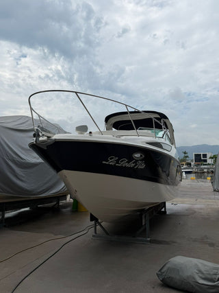Bayliner 310 BR