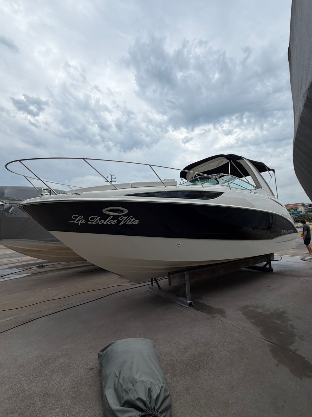 Bayliner 310 BR