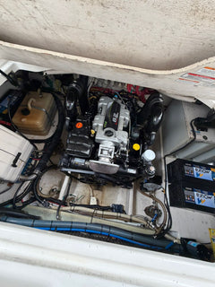 Bayliner 310 BR