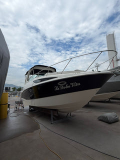 Bayliner 310 BR
