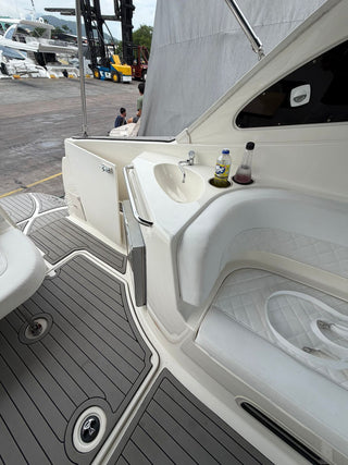 Bayliner 310 BR