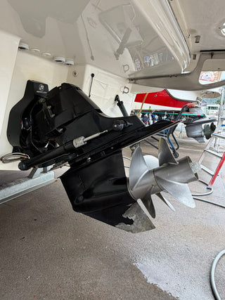 Bayliner 310 BR