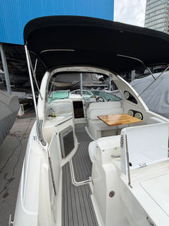 Bayliner 310 BR