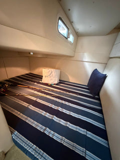 Bayliner 310 BR