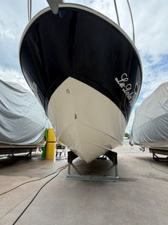 Bayliner 310 BR