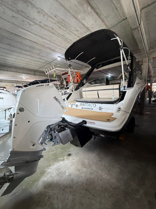 Focker 242 GTC Popa