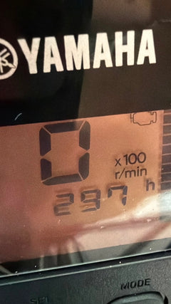Flyfish 230