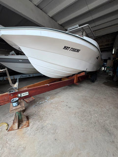 Flyfish 230