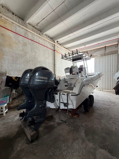 Flyfish 230