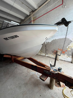 Flyfish 230