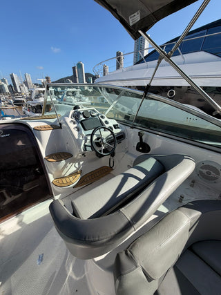 Triton 300