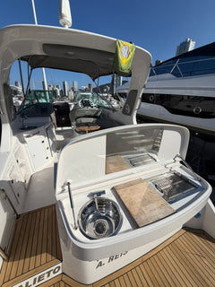 Triton 300