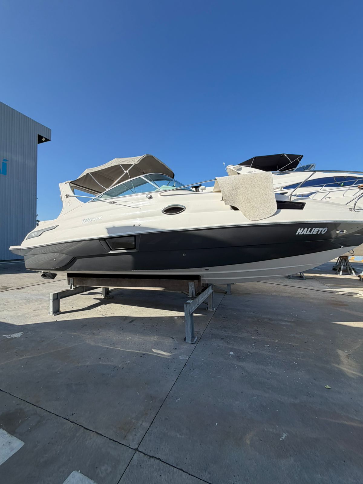 Triton 300