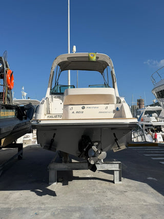 Triton 300