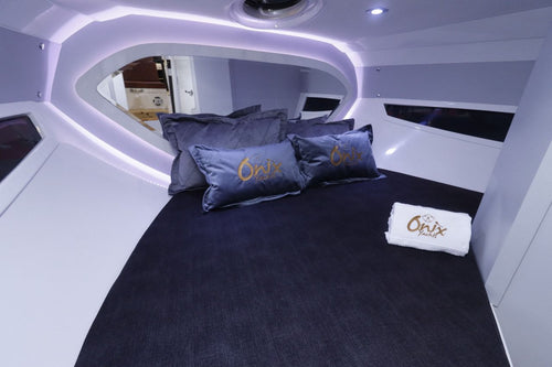 ONIX 250