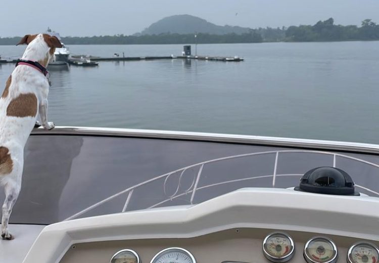 WhatsApp Image 2025-08-12 at 14.45.31 (2)