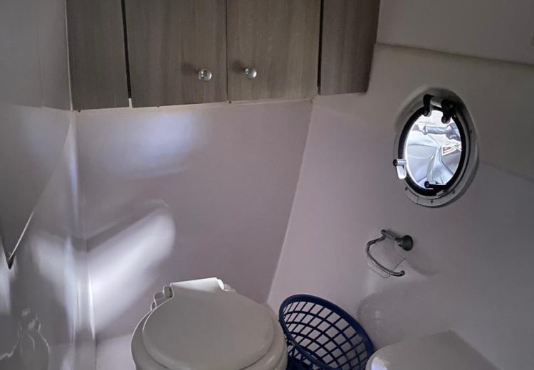 WhatsApp Image 2025-10-06 at 15.36.24