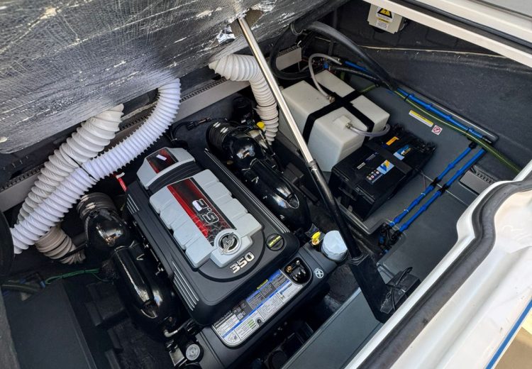 WhatsApp Image 2025-10-14 at 15.45.03