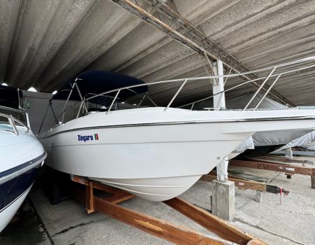 WhatsApp Image 2025-10-14 at 17.46.39