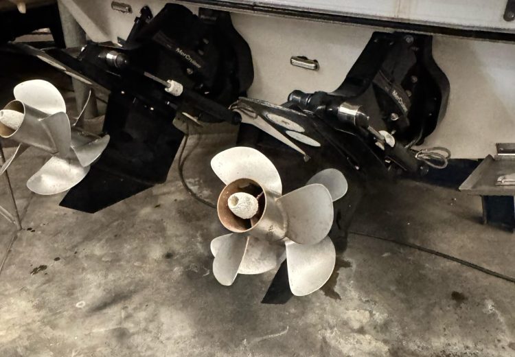 WhatsApp Image 2025-10-15 at 14.22.44