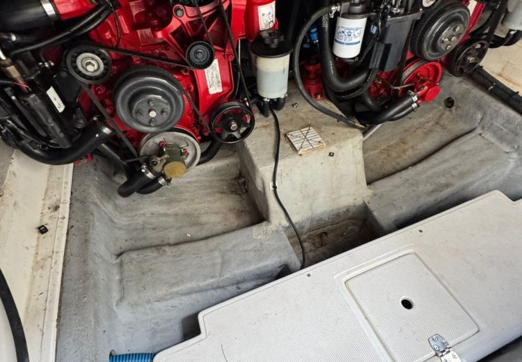 WhatsApp Image 2025-10-17 at 08.55.22