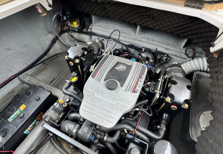 WhatsApp Image 2025-10-17 at 08.59.49