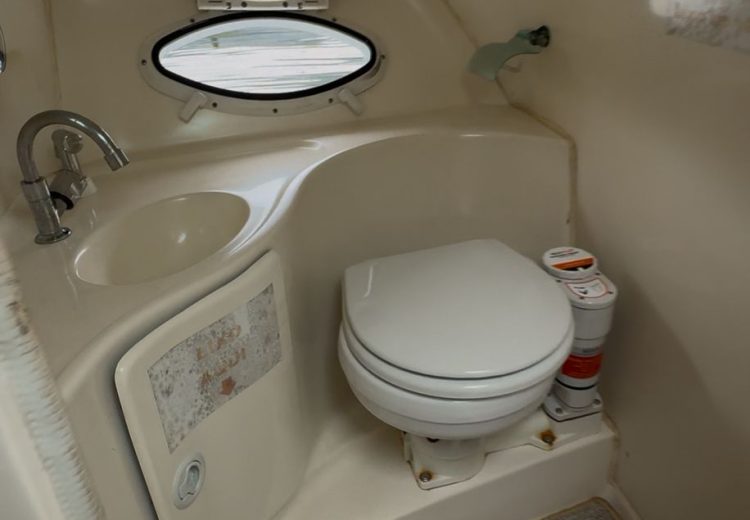 WhatsApp Image 2025-10-17 at 11.27.52 (1)