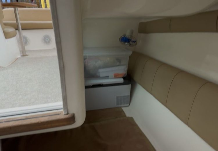 WhatsApp Image 2025-10-17 at 11.27.52 (2)