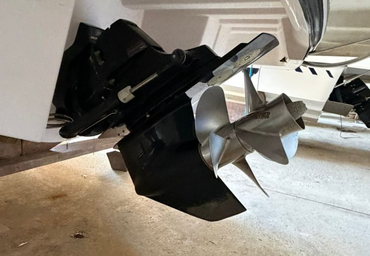 WhatsApp Image 2025-10-23 at 19.27.03