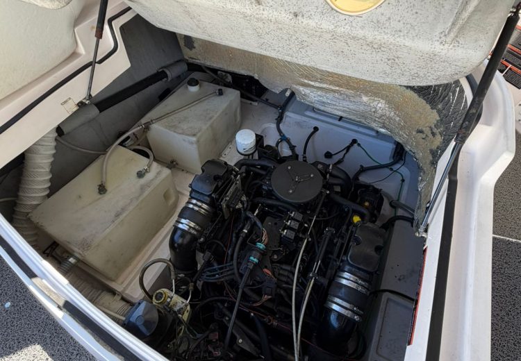 WhatsApp Image 2025-10-23 at 19.30.48