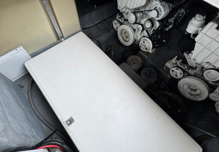 WhatsApp Image 2025-10-28 at 11.05.56 (1)