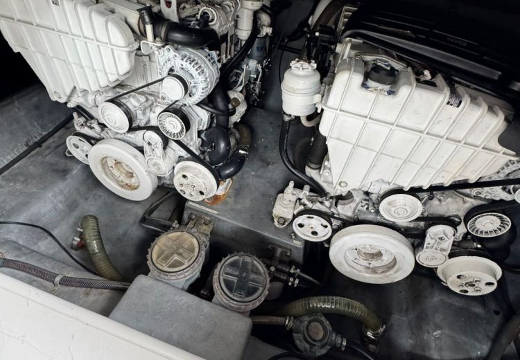 WhatsApp Image 2025-10-28 at 11.05.56