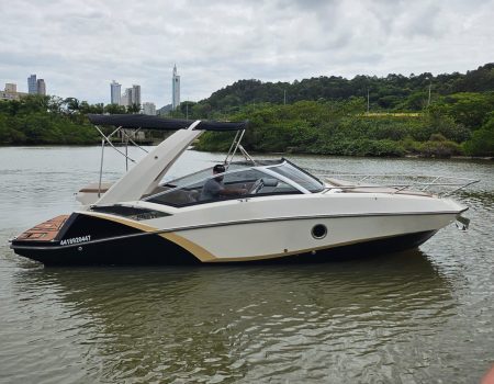 WhatsApp Image 2025-12-01 at 13.50.42 (1)